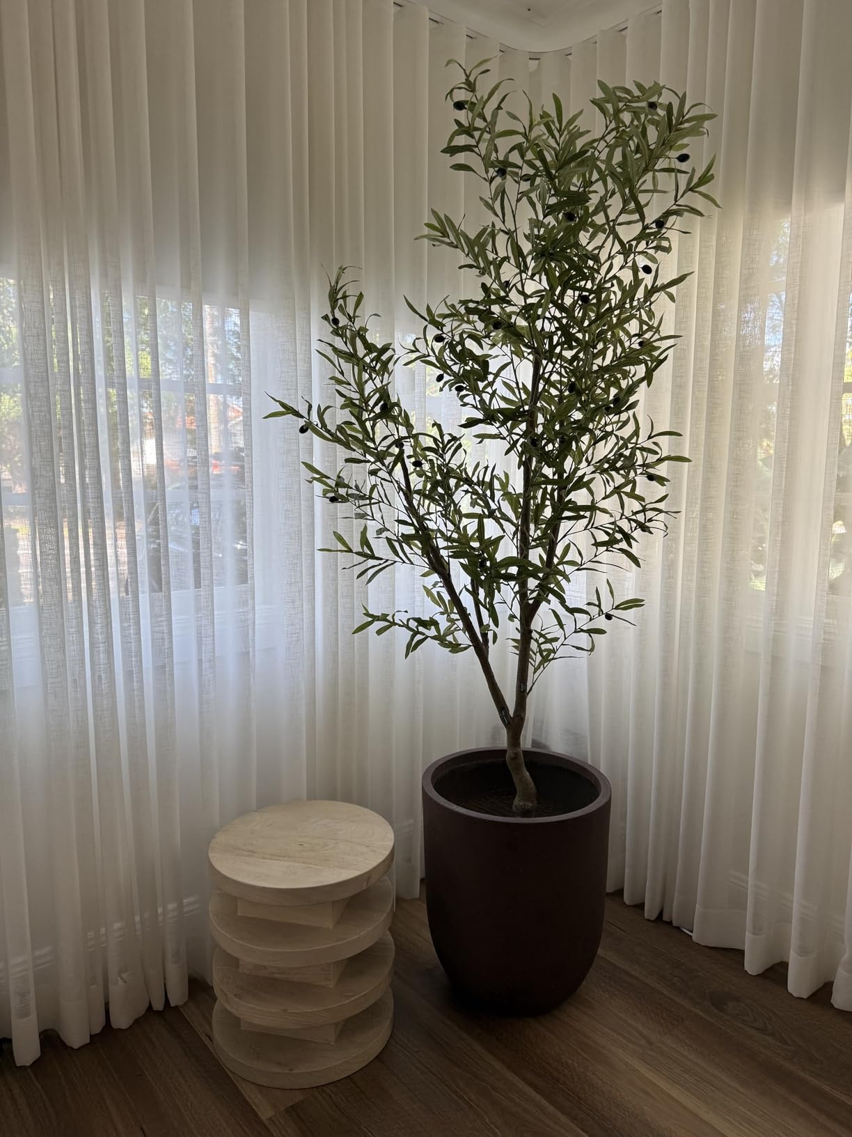 Olive Tree Pot